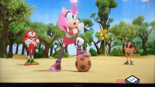 grimphantom2:  ironbloodaika:  angel-baez:  Knuckles the Echidna schools Amy Rose about feminism.  This fucking show is amazing.  I agree. XD  Welp, you heard the Echidna XD.  BASED ECHIDNA!!!