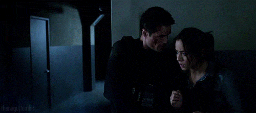 Agentsoffandoms