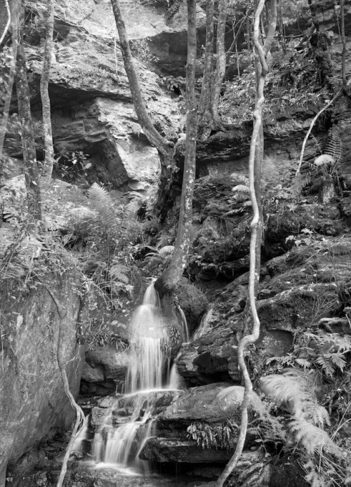 The endless loneliness of a secret waterfall.