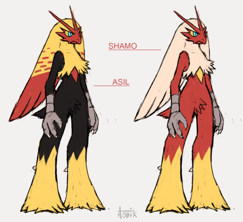 aonik: Shamo and Asil are mostly fighting breeds, while Silkie and Cemani are mostly contest breeds.