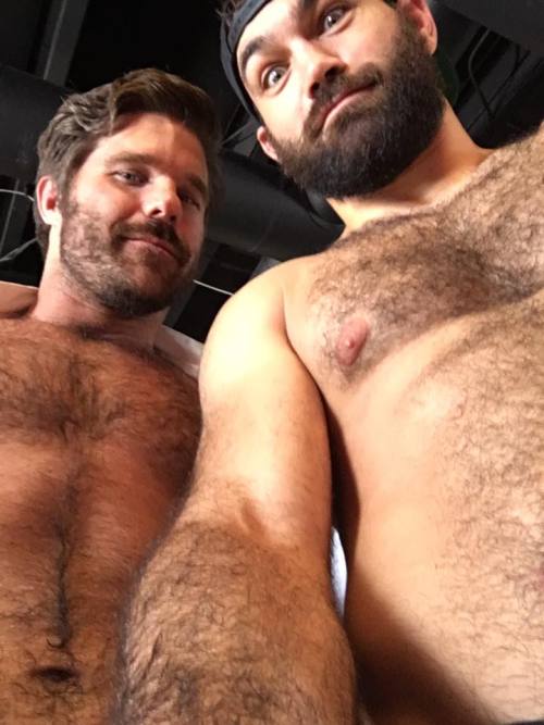piledriveu: Joey Ryan and David Starr selfie………lots of hairy chests, beard, so much fuckin manliness man’s man machoness!!!!! so fuckin hot, 2 dudes that grow there manly beards out, deciding to take a selfie but strip off shirts first to show