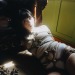 idieinmydaydream:Yada Kinbaku 