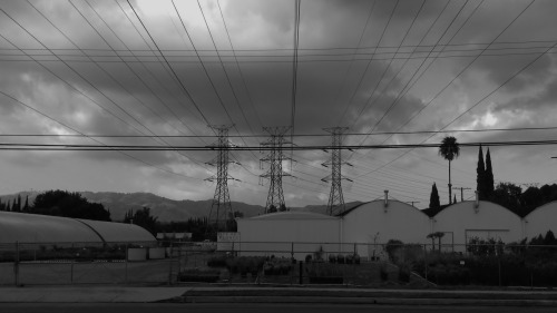 Wires and Mountain, 2013