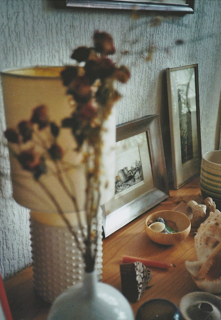 ordinair:  vintage/nature blog  