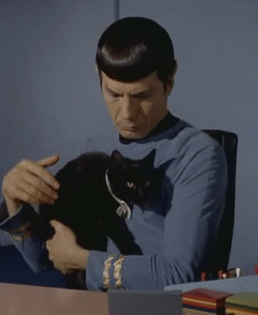 Spock With A Cat🥺