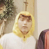chaootic:  a wild duck appeared~ 🐥 