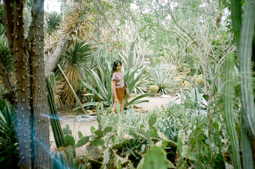 Ashley / Moorten Botanical Garden, Palm Springs, CA 2014