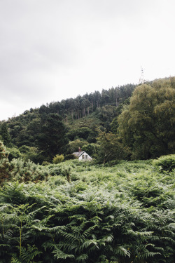 rachaelanthoney: Cabin in the forest, Glendalough, Ireland