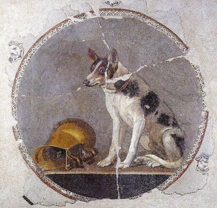 An Egyptian floor mosaic depicting a dog and a knocked-over gold vessel. c. 200-100 BC #dog #dogs #museum #artifacts #egypt #ancient #history #guilty