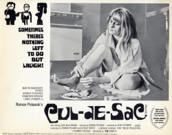 lobbycards:  Cul-de-Sac (Blind Alley), US lobby card. 1967 