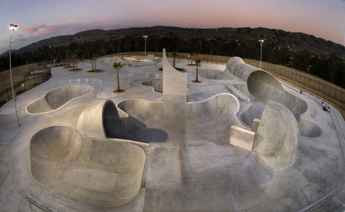 LAKE CUNNINGHAM REGIONAL SKATEPARK Skatepark Designer : Wormhoudt Location: San Jose, California, US