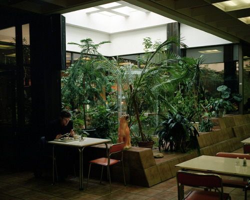 decoratingwithhouseplants:  . by rest less ness on Flickr.