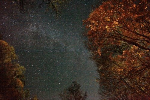 spaceexplorationphotography:

The Milky Way Galaxy spanning across autumn trees illuminated by a bonfire. [960x640]
Source: https://i.imgur.com/i945S.jpg 