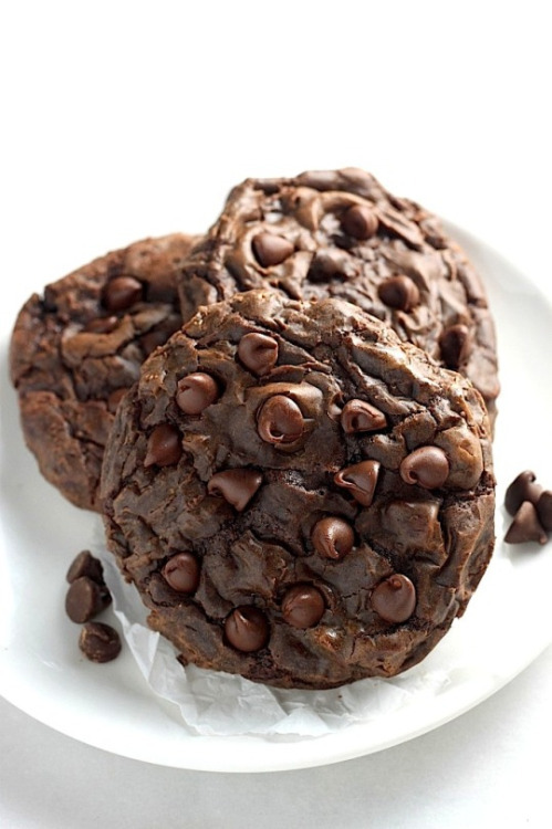 cake-stuff:  Soft Batch Double Chocolate Fudge Cookies More cake &amp; cookie