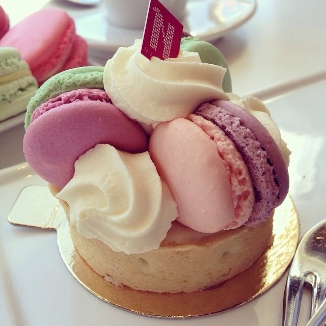 rohsymints:  rosy x 