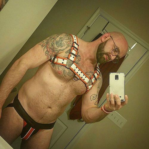 qurba78:  Just got my new harness for upcoming porn pictures