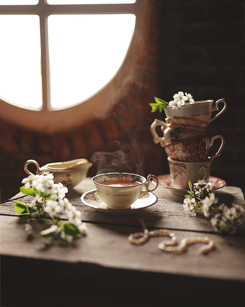 butteryplanet:cinemagraph artist