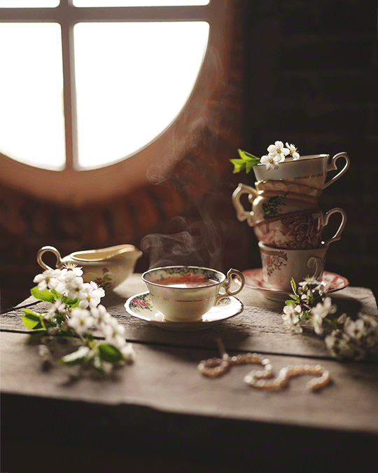 butteryplanet:cinemagraph artist