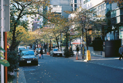 toshibu:  Street by yo4kazu1974 on Flickr.