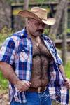 hairy-muc-bear:2021.01.28.Thursday&rsquo;s BILFS in Open Shirts Next Door Bulls