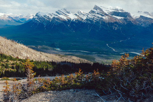 Resolute Mountain. Alberta, Canada. 