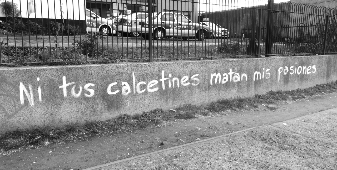 caleidoscopiodemilcolores:  con algo de humor :)Valdivia, Chile  &lt;3 