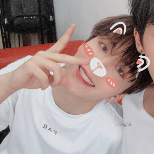 chengful: ˚₊· ͟͟͞͞➳  soft!chengcheng (+zhengting!) | twittergif ver: x do not remove/cro