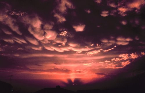 pleoros:  NOAA Central Library, Sky Scenes