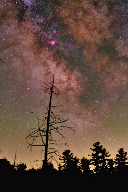 ikenbot: Summer Milkyway By Brian Larmay