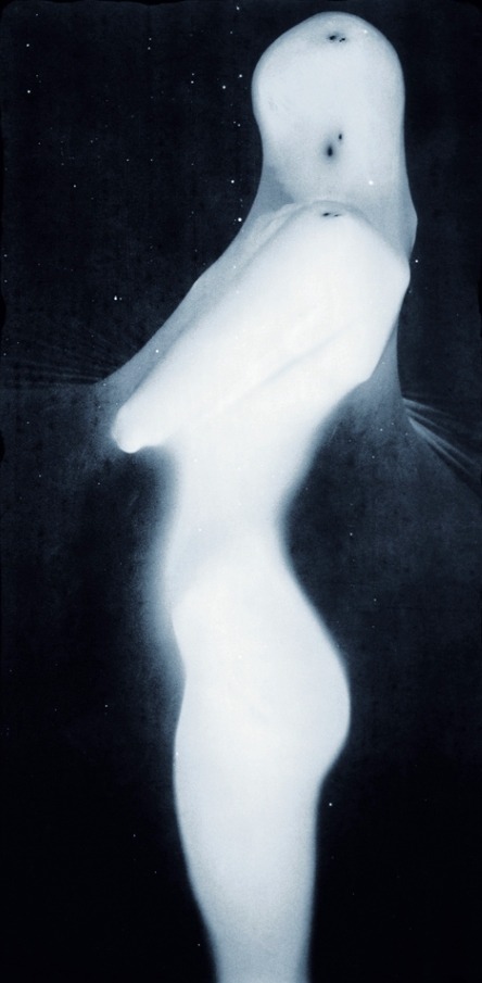 jinxproof:© Alvin Booth