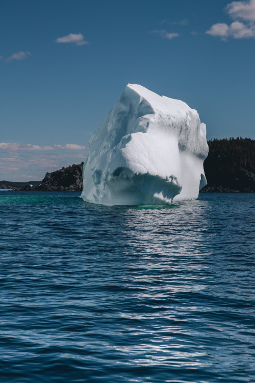 Newfoundland & Labrador - exploring the northeastern seaboard of canada - may 2019