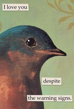 Hozier Songs As Troubled Bird Memes