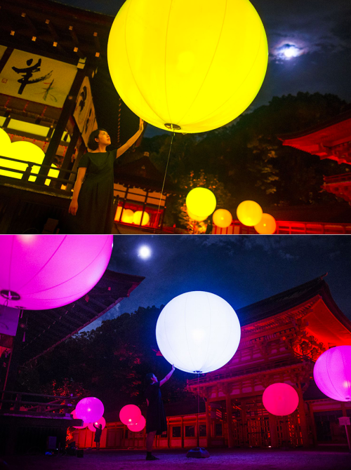 thedesigndome:  Tokyo Forest and Shrine Spectacularly Illuminated In Interactive Light Display The ancient sanctuary, Shimogamo Shrine and its neighbouring forest has been illuminated in two brilliant interactive light displays by Teamlab. Keep reading