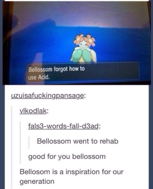 i-have-no-gender-only-rage:  Tumblr and pokemon. Part 2 3 4 5 6 7 8 