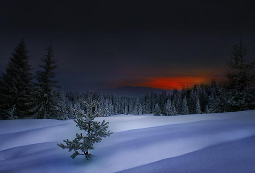 landscapelifescape:  Rhodope Mountains, Bulgaria  by Albena Markova  ————— Somewhere in Northrend lies a Death Knight that wants Galla on a platter. The question is; How do you find only one among so much cold and death? 