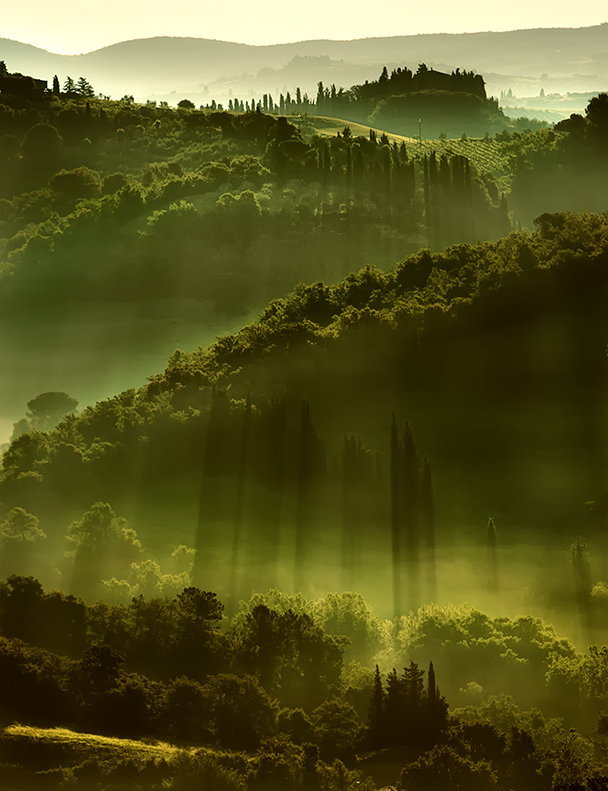 llbwwb:  (via 500px / shadows by Caplikas)