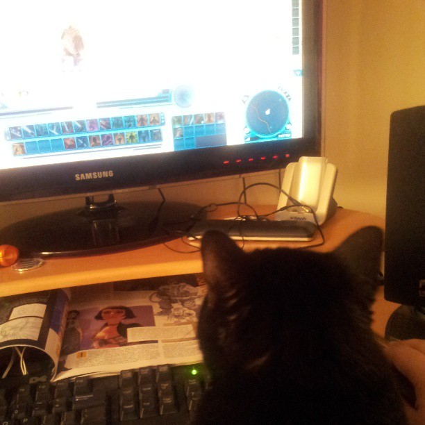 My cat&rsquo;s playing star wars. #starwars #tor #cat