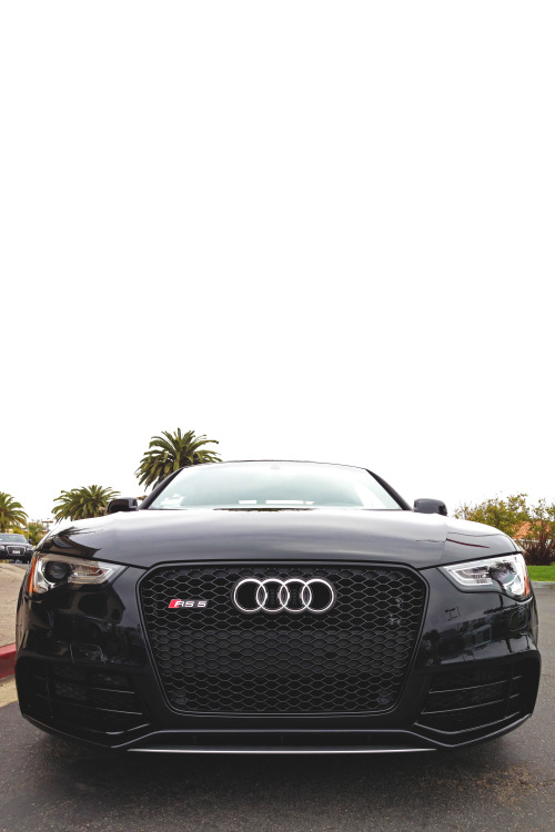 stayfr-sh:  RS5 