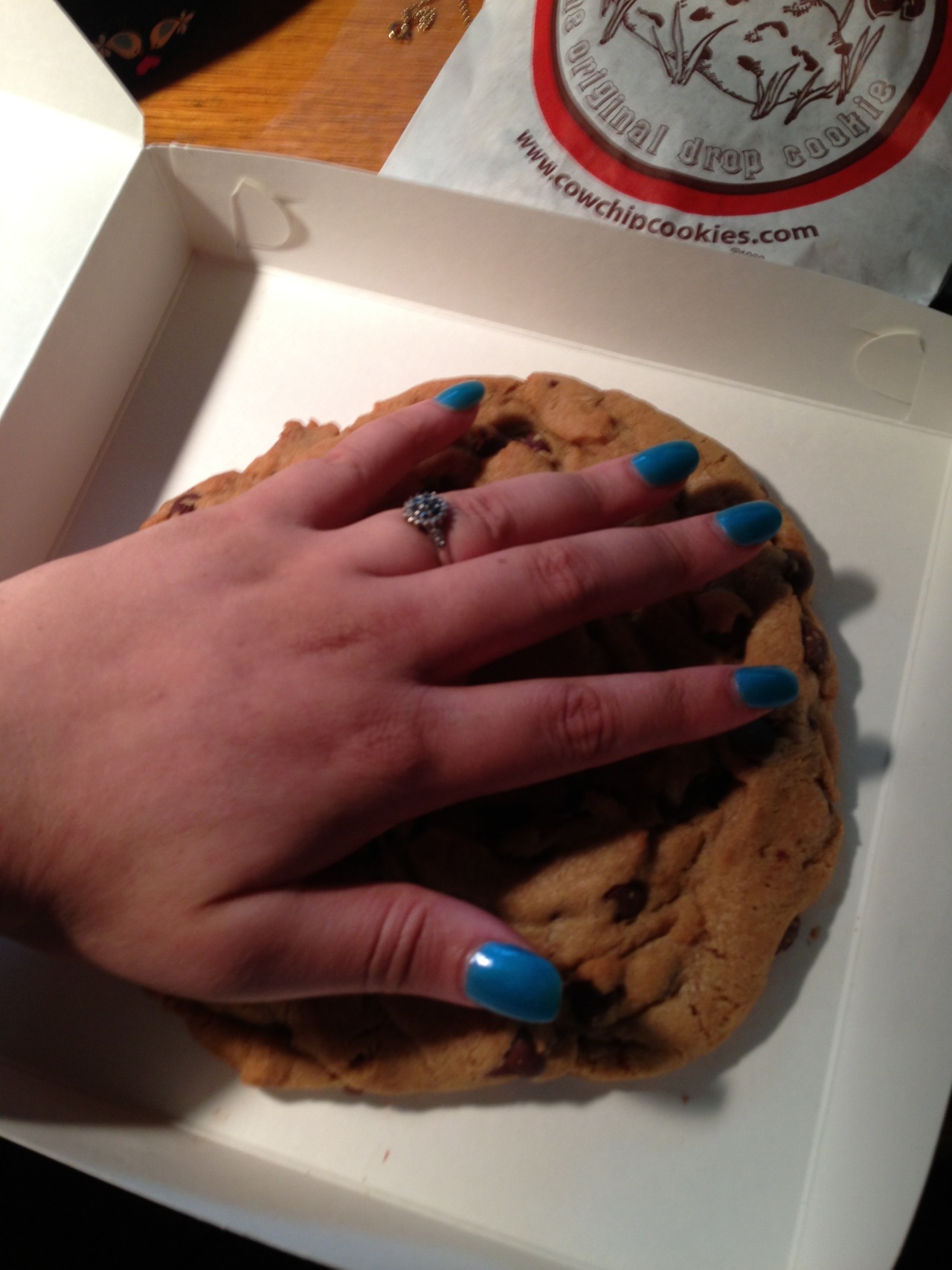 christinangp:  thecakebar:  wolfidy:  And, as my final fair post, I present to you