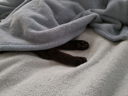 Realized I Hadn't See My Cat In A While So Went To Go Find Him. Took Me A Moment.
