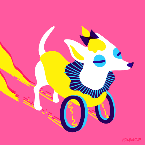foxadhd:  We Love U, Josie The Two-Legged Chihuahual! 
