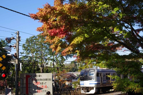 令和２年１１月２７日（土）紅葉を求めて北鎌倉駅から鎌倉駅へまだちょっと早い状況昨年一昨年と台風被害（塩害）で綺麗な紅葉は見られなかったため今年は期待していたが、あまり綺麗な紅葉にはならない様子ピークは