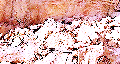 captainwarbuckle:  top 50 horror films | #42  ➥ Tremors (1990)  