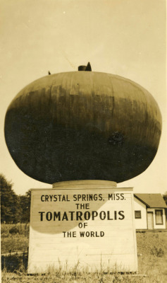 danskjavlarna: “Crystal Springs, Mississippi, the Tomatropolis of the World.”  Courtesy of the Mississippi Department of Archives and History.
