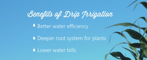 learn more about drip irrigation at www.gardendripsystem.com 