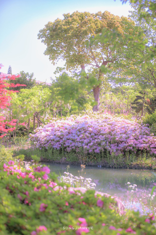 fuckyeahchinesegarden: 常熟changshu, suzhou, jiangsu province by 松间月