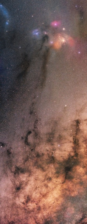 “Rho Ophiuchi Cloud Complex Area Of The Milky Way” by Martin Campbell on Flickr.