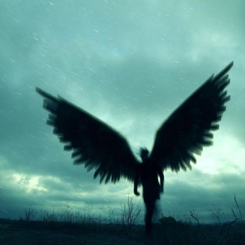 voidedgod: This is what happens when you try to turn a void into an angel. My personal fallen angelk