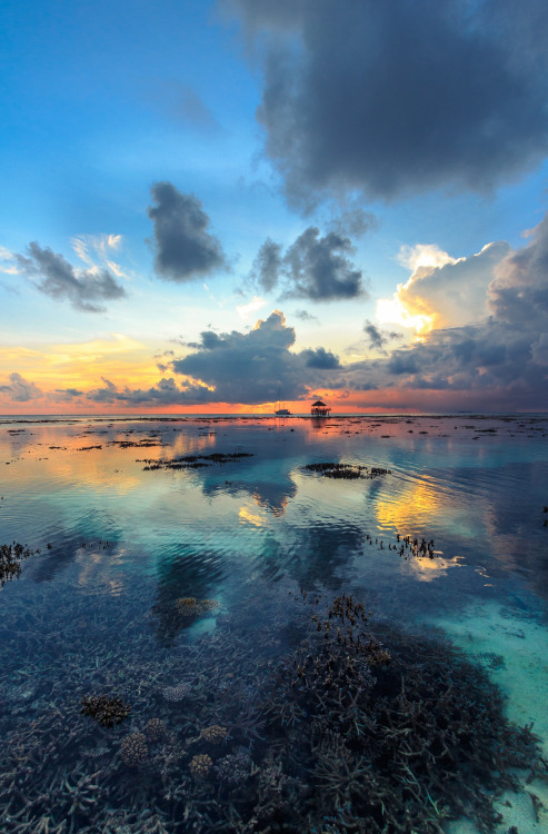 XXX earth-land:  Republic of MaldivesRepublic photo