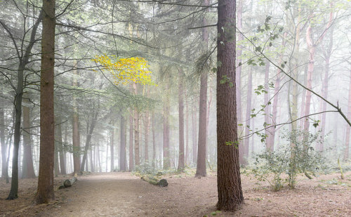 September by bingleyman2 on Flickr.